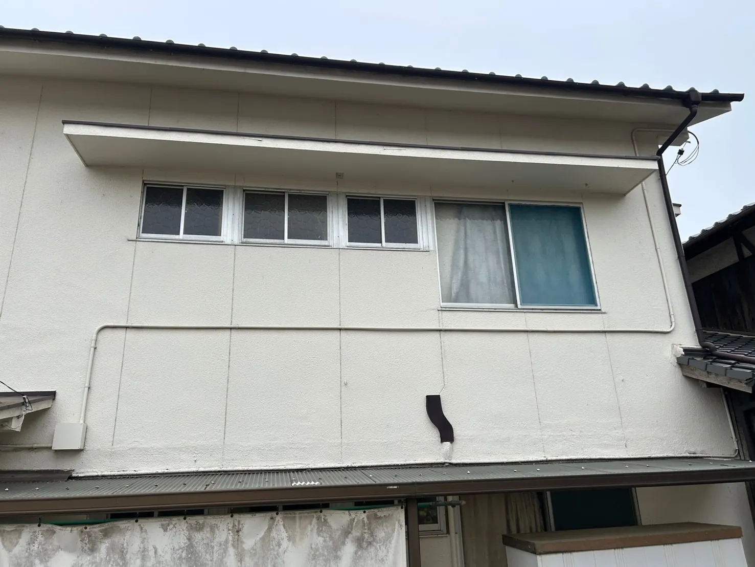 外壁蜘蛛の巣除去