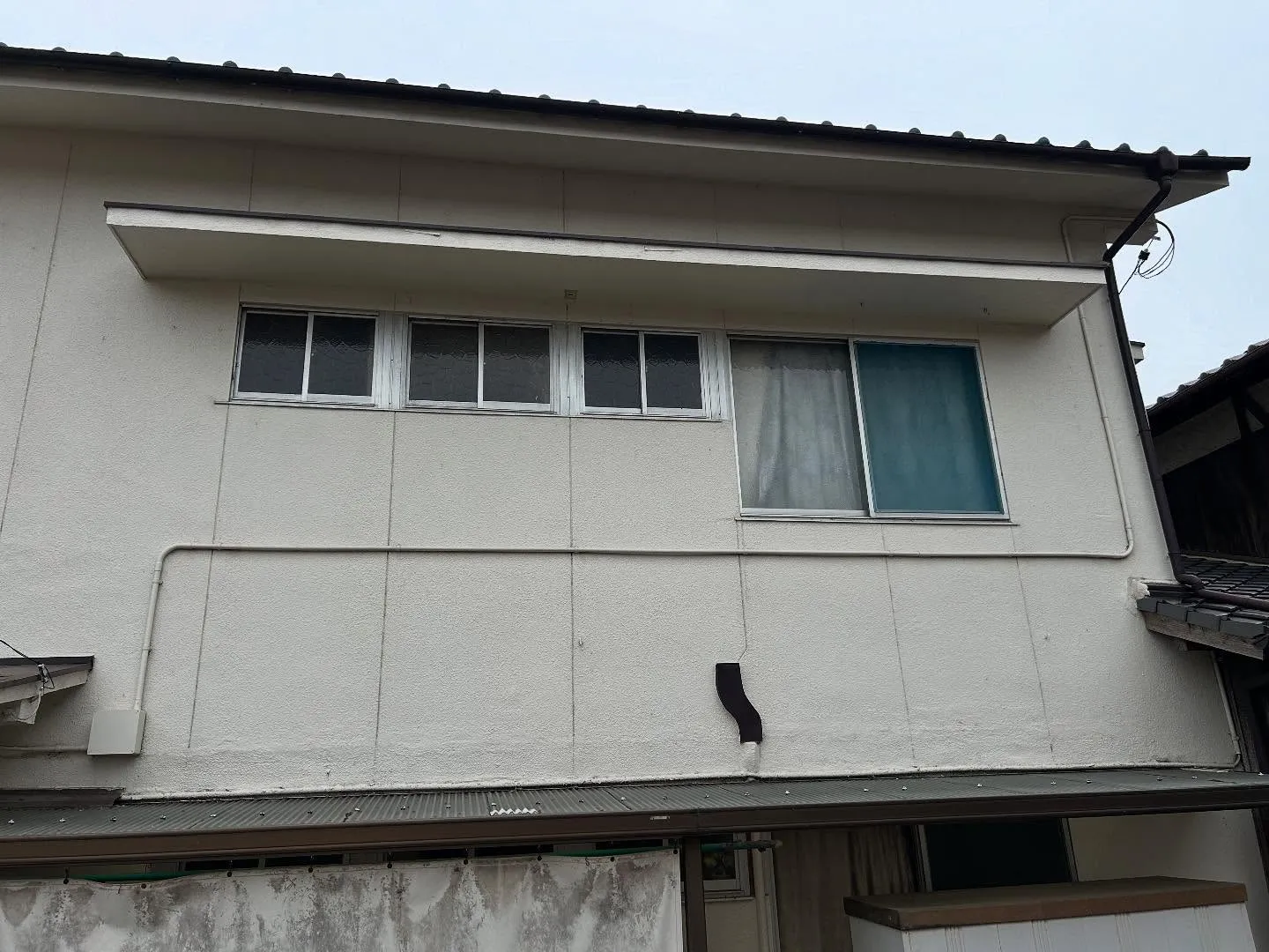 外壁蜘蛛の巣取り