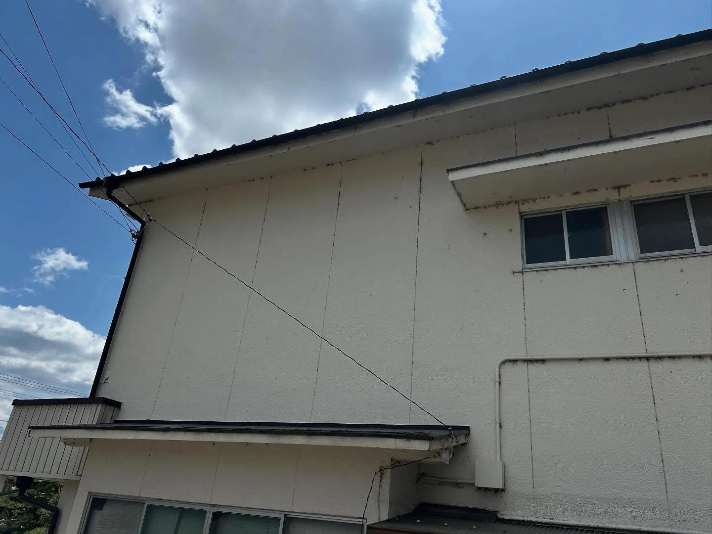 外壁蜘蛛の巣取り
