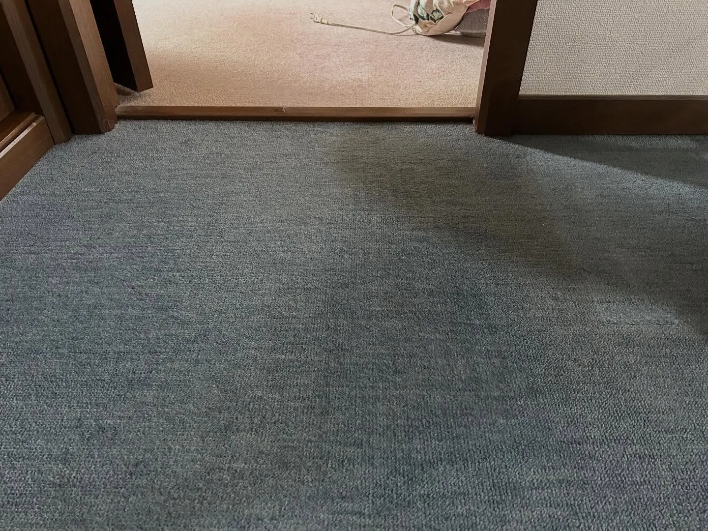 カーペットシミ抜き