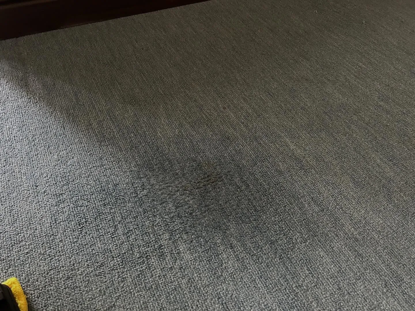 カーペットシミ抜き