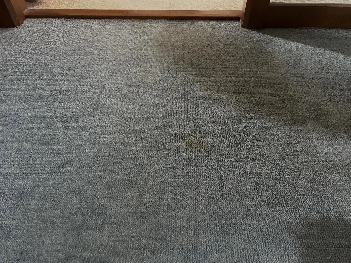 カーペットシミ抜き