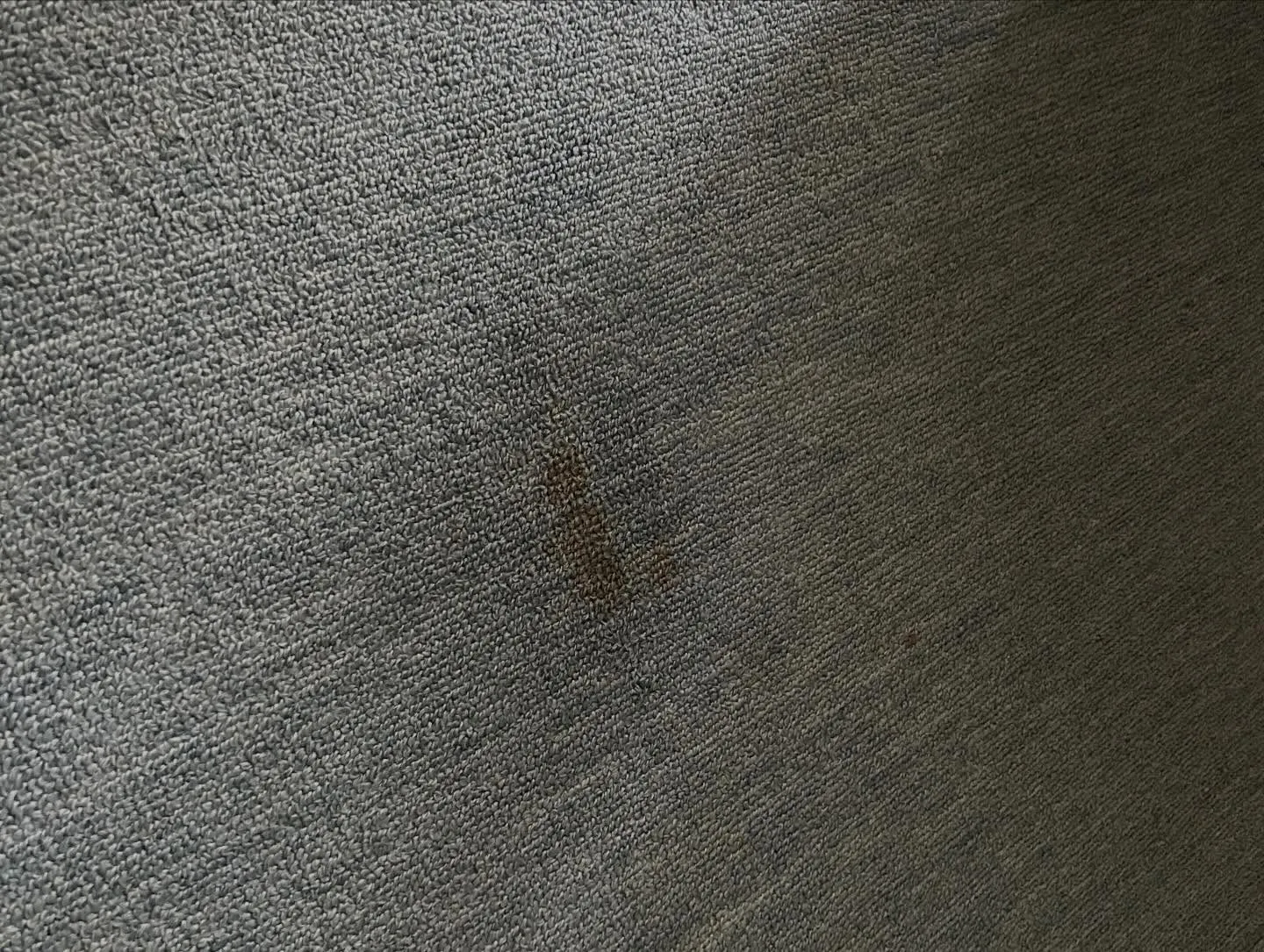 カーペットシミ抜き