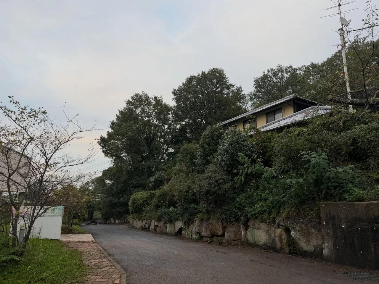 伐採・剪定・防草シート
