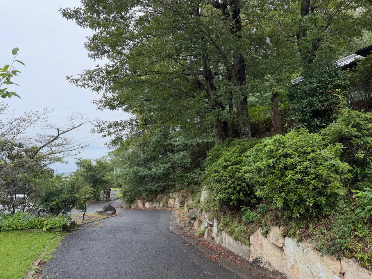 伐採・剪定・防草シート